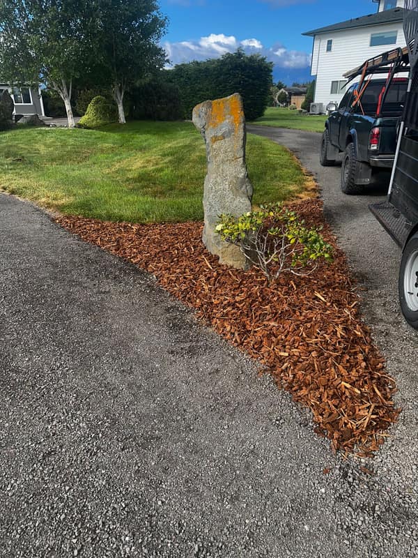Driveway boulder feature with shaped mulch bed and ornamental plantings — Clallam County, WA