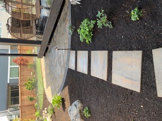 Backyard transformation — stepping stones to circular paver patio + outdoor lounge