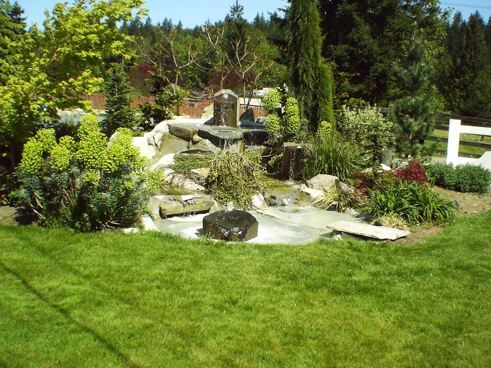 Mountain View landscape project 2
