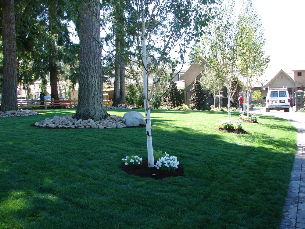 Mountain View landscape project 3