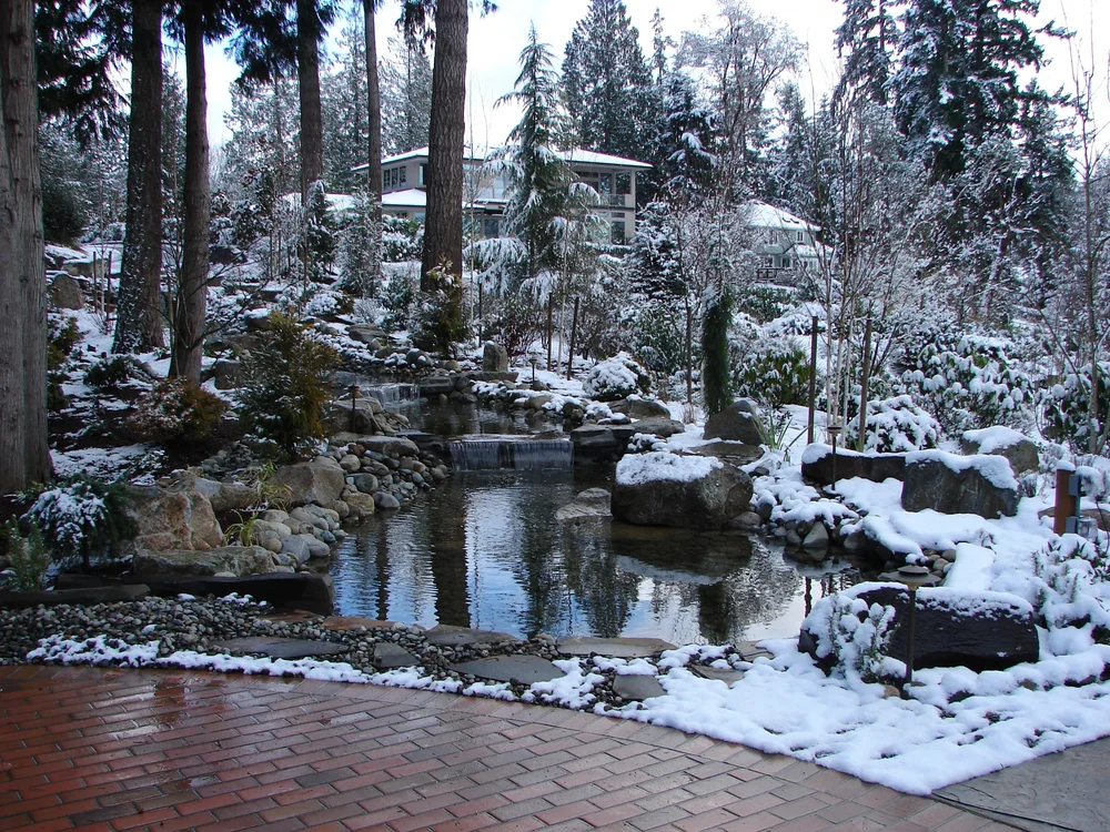 A Mountain View landscape under fresh snow