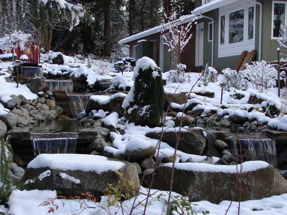 Mountain View landscape project 11