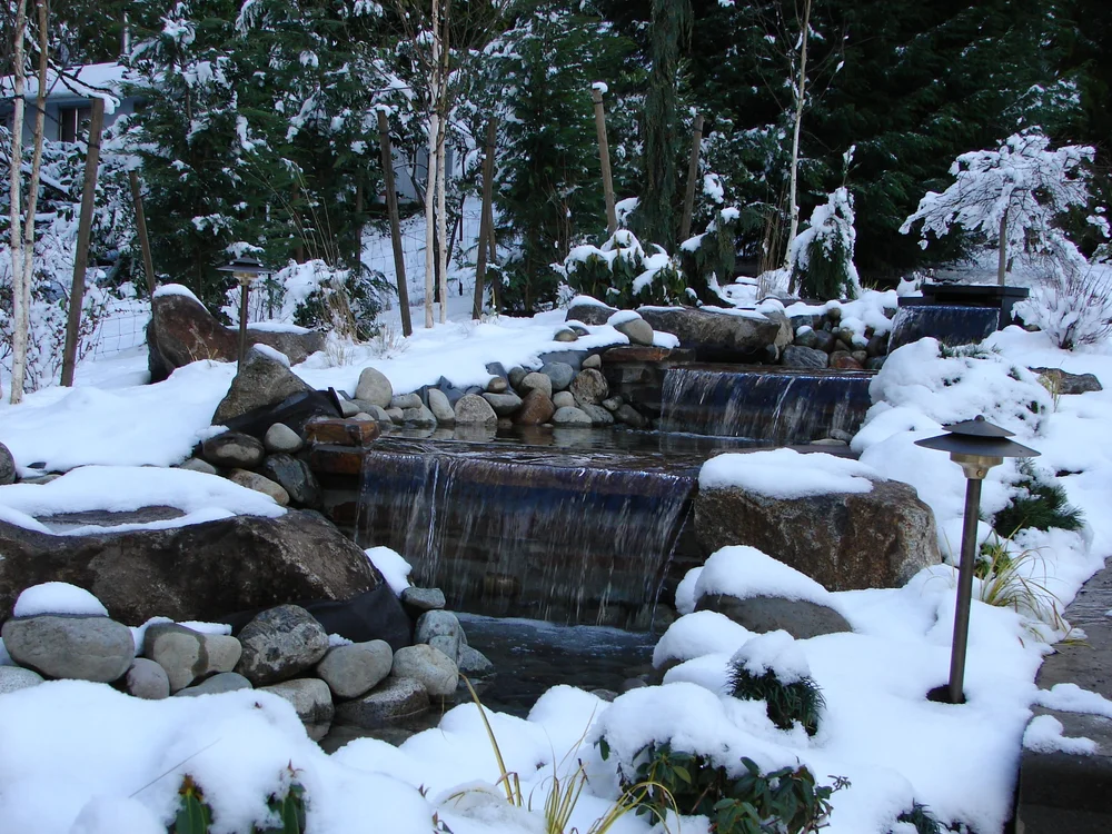 Mountain View landscape project 12