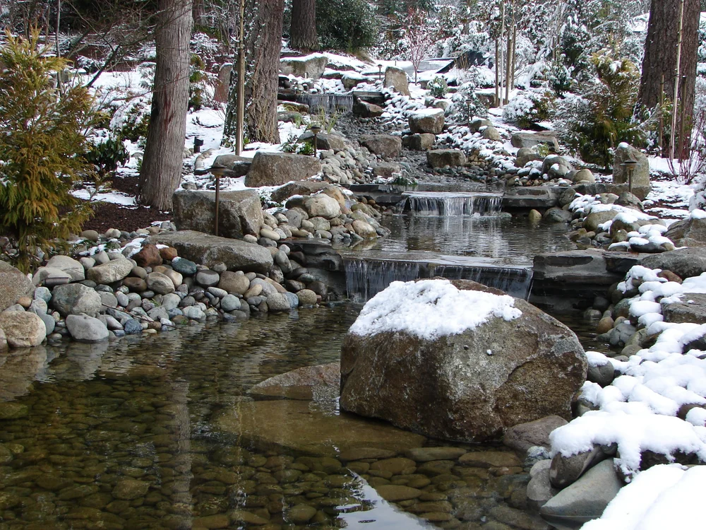 Mountain View landscape project 14
