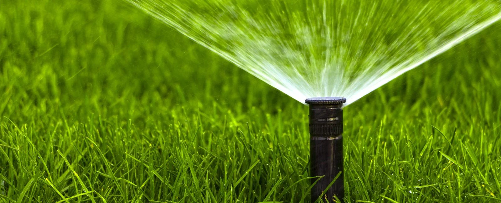 Irrigation