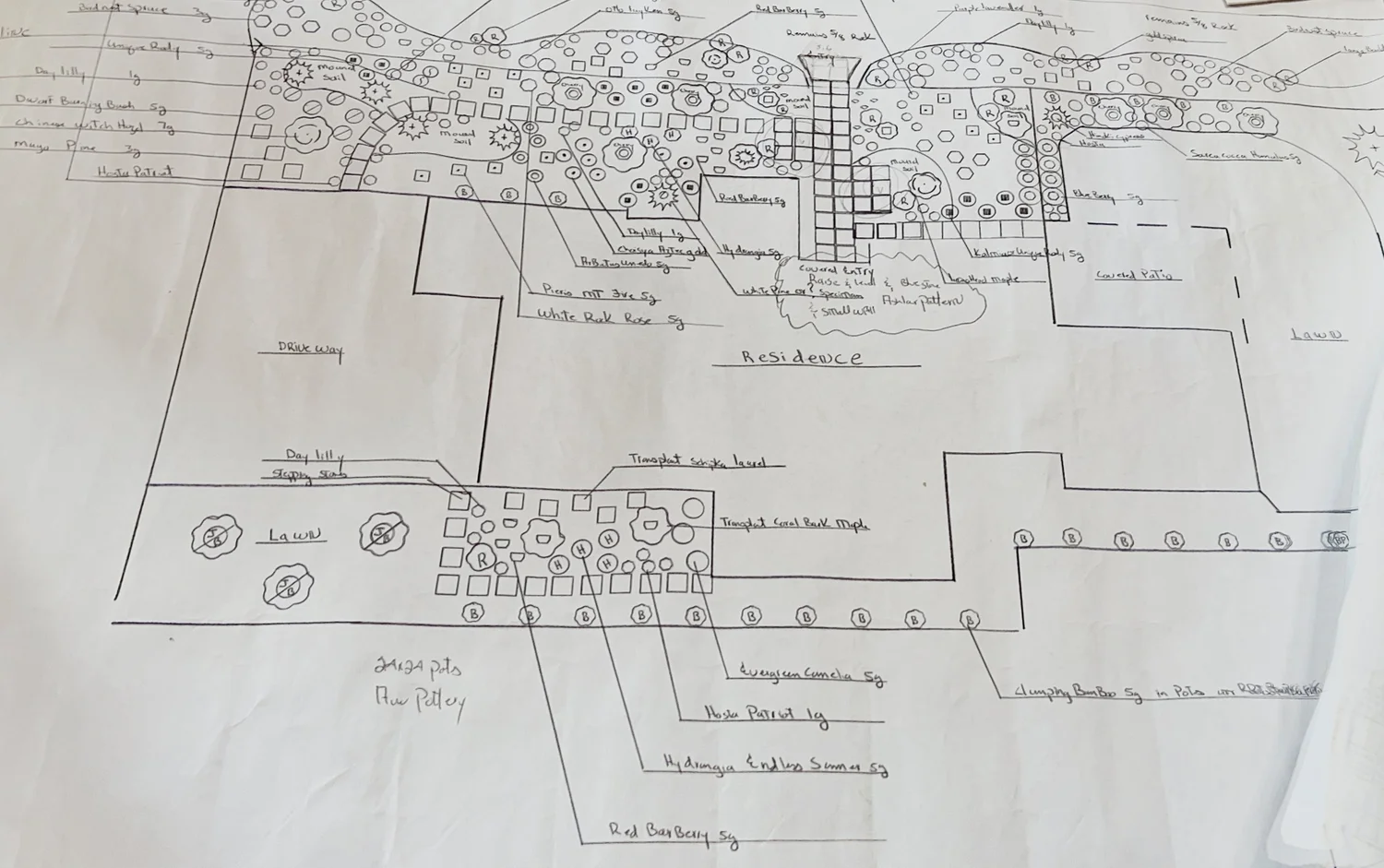 One of Tim's hand-drawn landscape plans
