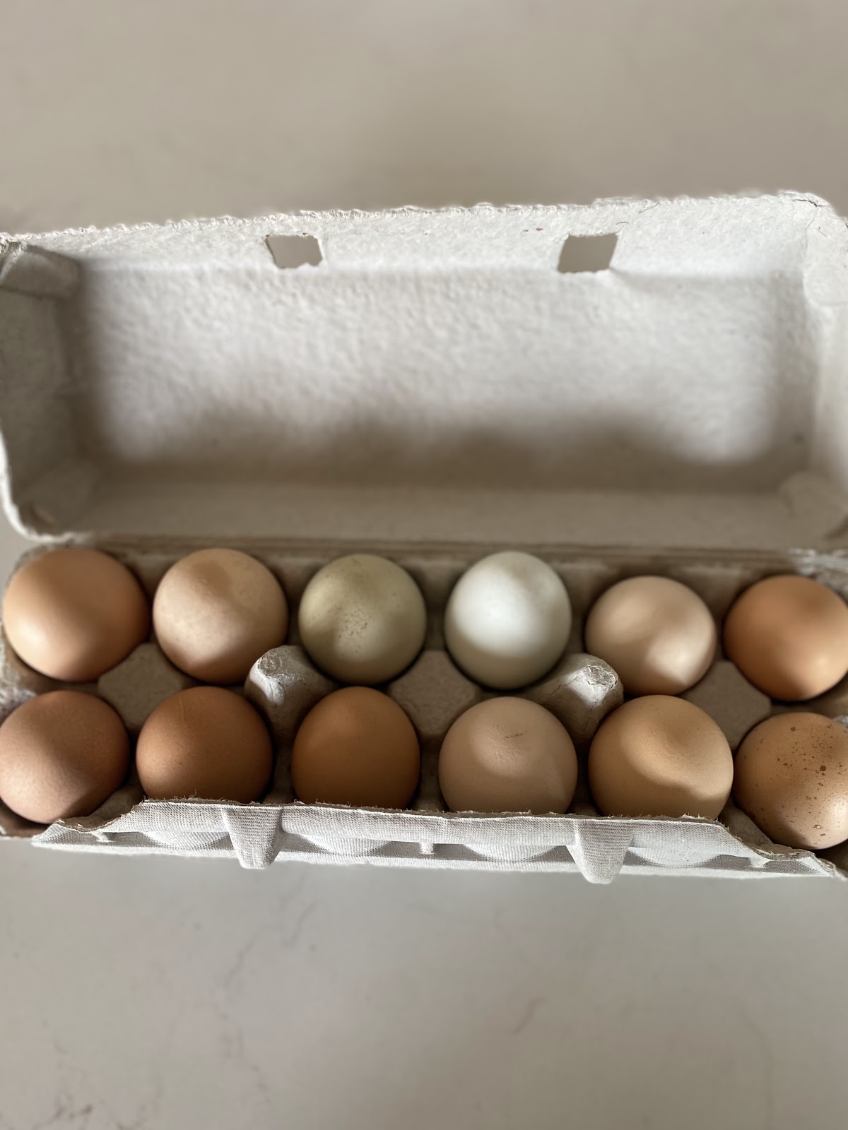 Open carton of pasture-raised eggs in browns, blues, and creams